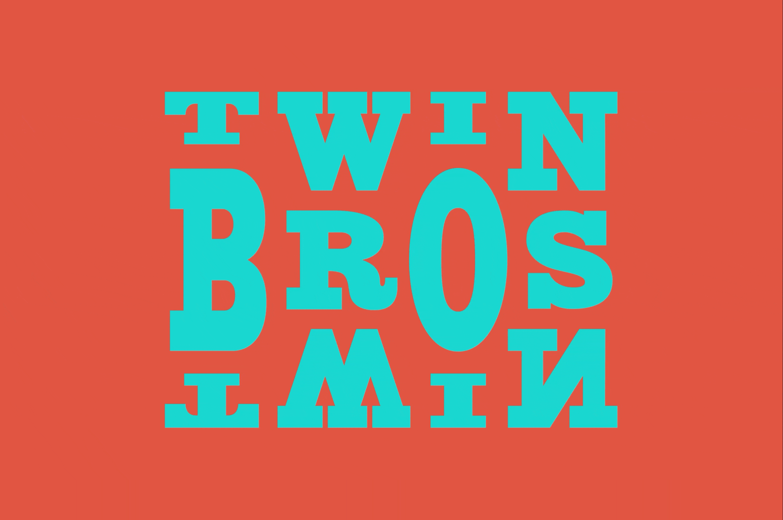 twinbros_renkli_low